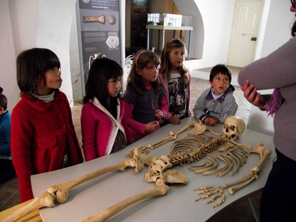 Atividades Educativas