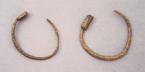 Bronze earrings