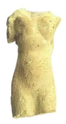 Torso feminino